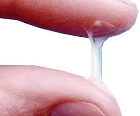 איך נראית הפרשה של גבר בדרך כלל